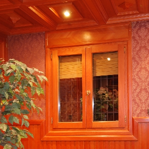 caelux_ventana